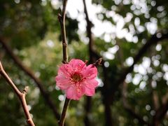 -银都名墅