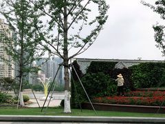-西北湖绿化广场