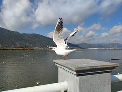 -滇池海埂公园