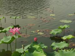 -上海市保健医疗中心