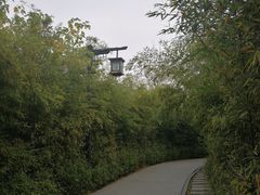 -西安汉城湖景区