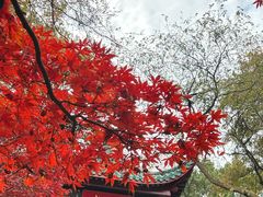 -岳麓山风景名胜区