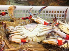 -大锅强·蒸海鲜青岛菜(金沙滩店)