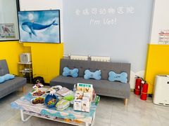 -瑞派·爱瑞可动物医院·口腔专科(广华新城分院)