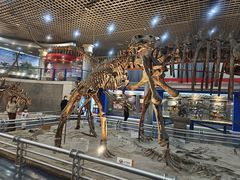 -国家自然博物馆