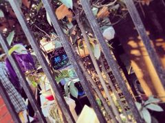 iphone_upload_pic-璐坊粽王(复兴中路店)