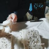 老奶奶手工发酵米糕 早上六点多来才买到