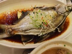-刘胖子家常菜·蹄花焖藕(中南店)