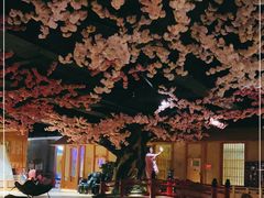 -蓝鲸湾汤泉(包河店)