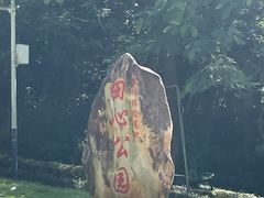 -田心森林公园