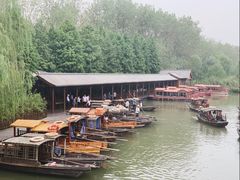 -溱湖国家湿地公园