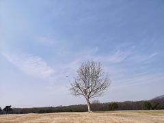 -钟山体育运动公园