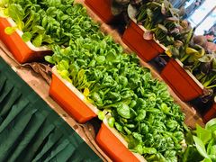 -海景壹号大酒店(滨湖店)