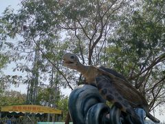 -广东惠东海龟国家级自然保护区