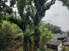 -岳麓山风景名胜区