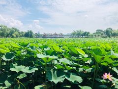 -长春市南湖公园