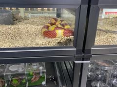 -三旗百汇商品城