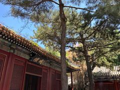-潭柘寺景区