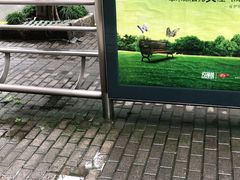 -上海三山会馆