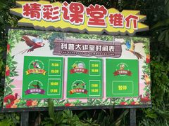 -广州长隆飞鸟乐园