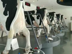 -蒙牛工业旅游景区