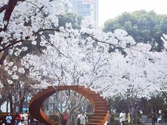 -静安雕塑公园