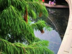 -云溪植物园