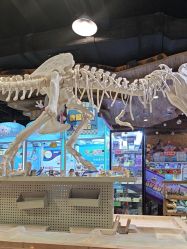 -卡通尼·Safari非洲探索乐园·生日会(金桥国际商业广场店)