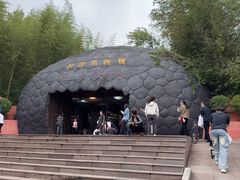 -中国西峡恐龙遗迹园