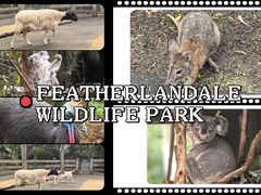 -费瑟代尔野生动物园