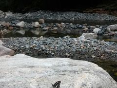 -雅鲁激流探险漂流