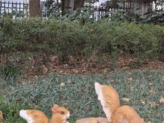 -华山儿童公园
