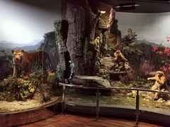 -陕西自然博物馆