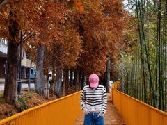 -东白山