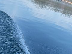 -千岛湖东南湖区