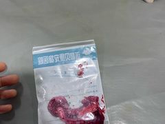-谐和贝康宠物医院24小时·宠保定点(急重症转诊中心)