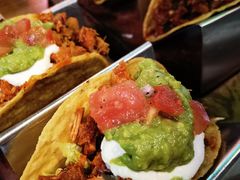 -Famous肥猫墨西哥音乐餐吧(五棵松华熙LIVE店)