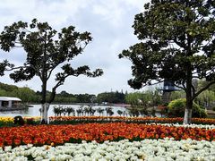 -上海鲜花港