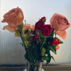 -安那般那皮肤年轻化ANAPANA