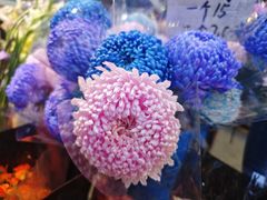 -循礼门鲜花花市(武汉循礼门店)