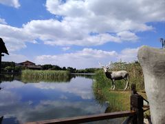 -溱湖国家湿地公园