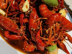 -杨氏青龙虾·羊蝎子(金盛路总店)