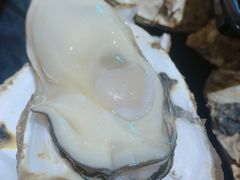 -烧蠔帮·生蚝海鲜牌档(观海店)