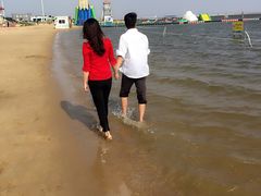 -碧海金沙