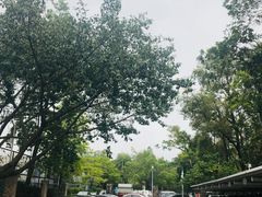 -深圳市体育中心体育馆主馆