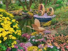 -上海共青森林公园