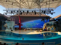 -三亚海昌梦幻海洋不夜城