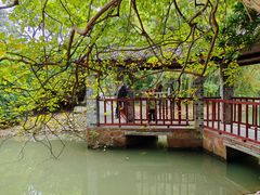 -八大山人梅湖景区