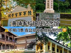 -长洲岛