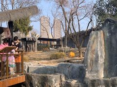 -武汉动物园